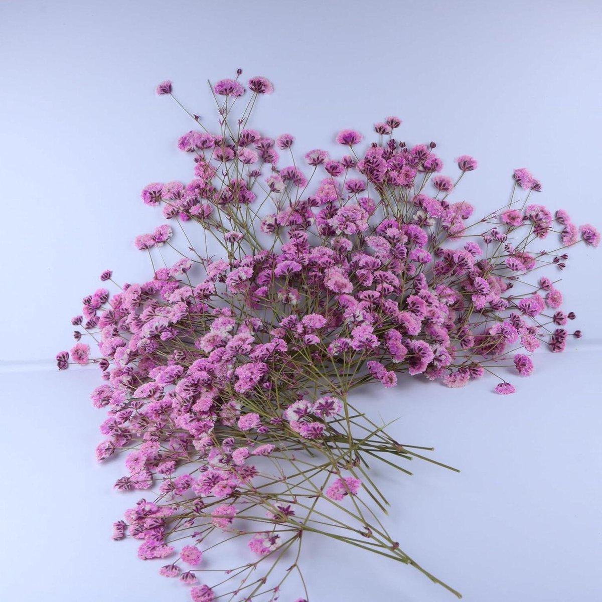 Gedroogde Bloemen - Geperste Bloemblaadjes - Hars Kunst Maken - Natuurlijke Baby's Adem - 50 stuks - Roze