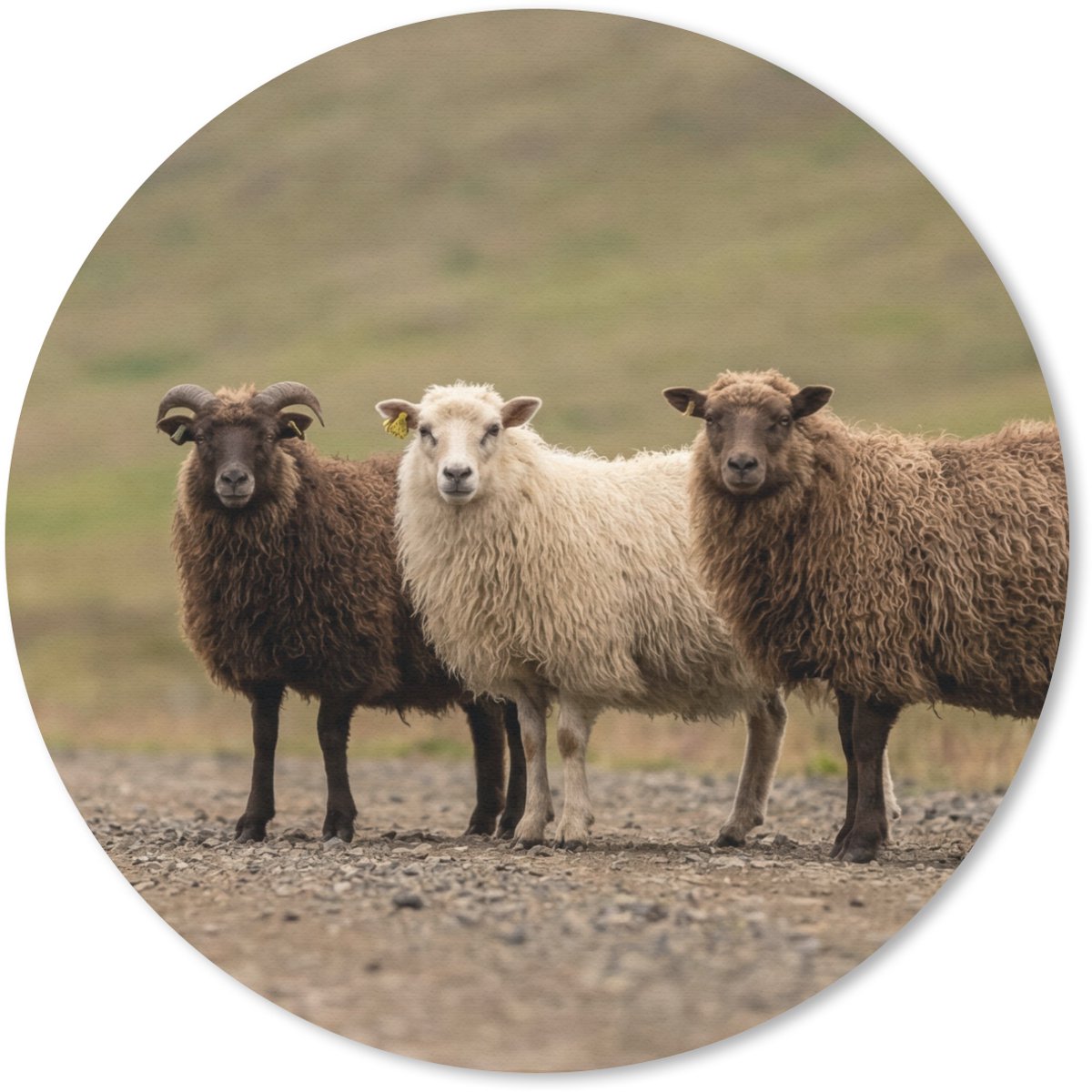 Muismat rond 40x40 cm - Mousepad Schapen - Bruin - Wit - Grindpad - Ronde muismatten