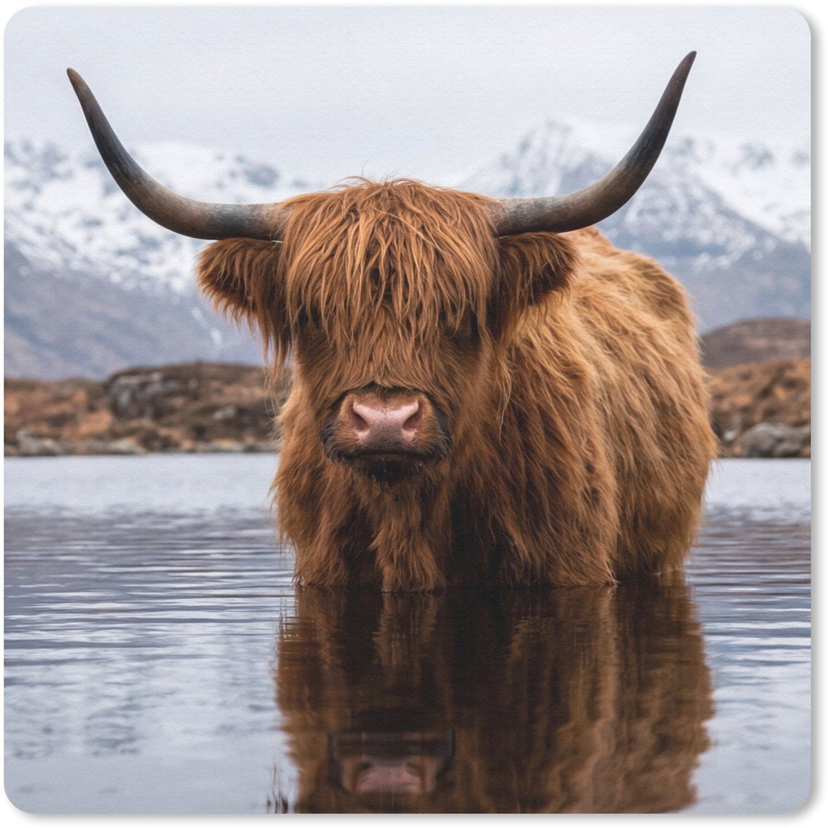 Muismat 30x30 cm - Mousepad Schotse hooglander - Bruin - Water - Muismatten