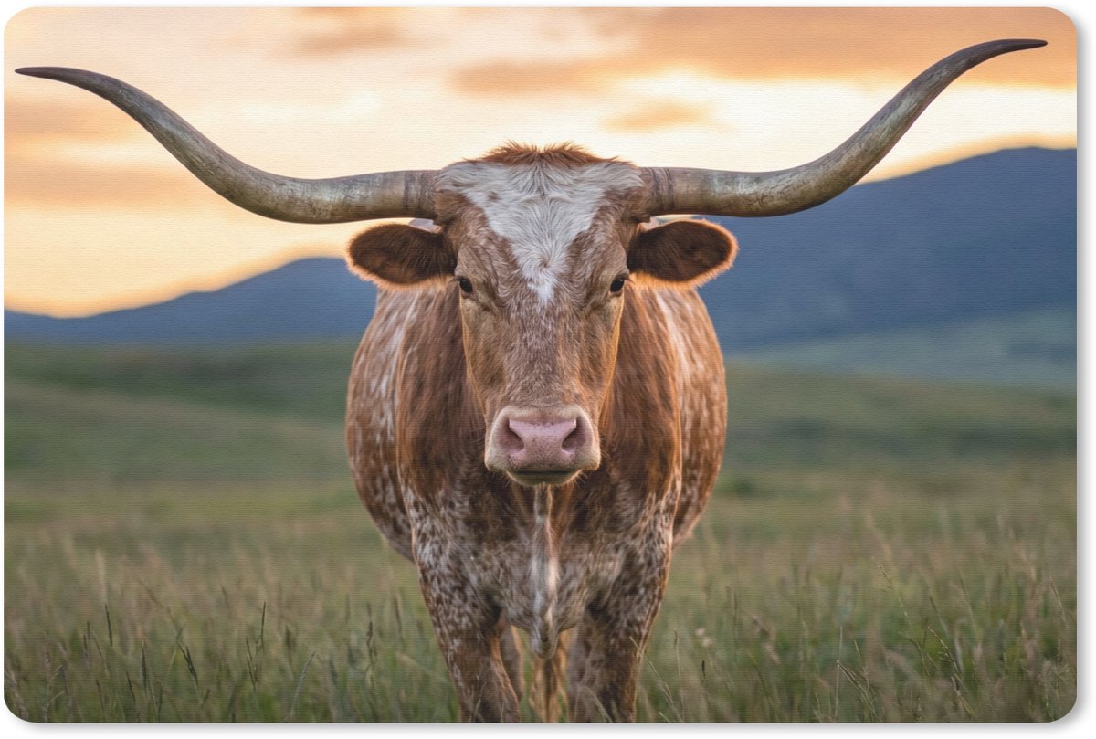 Muismat 13x8 cm - Mousepad Longhorn - Landschap - Zonsondergang - Muismatten