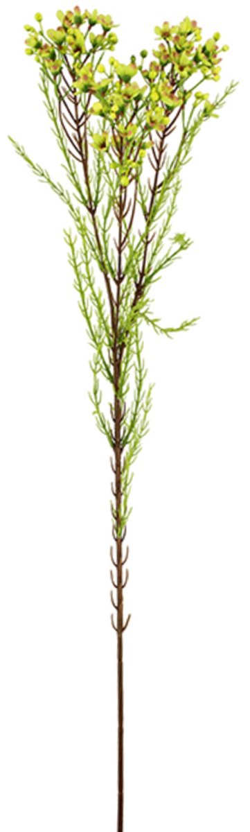 Kunsttak Wax Flower - Realistische Kunstbloem - Geel / Groen - 78 cm hoog