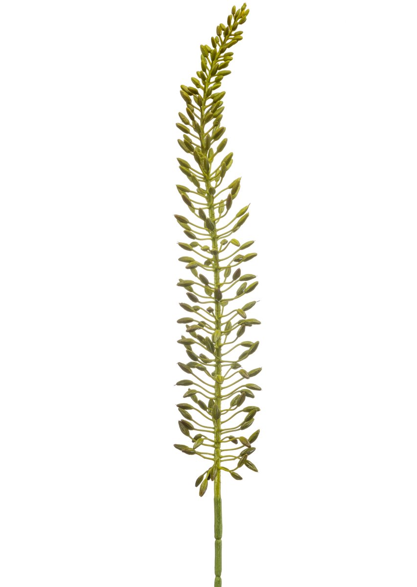 Kunstbloem Eremurus - Realistische Kunsttak Decoratie - Onderhoudsvrij