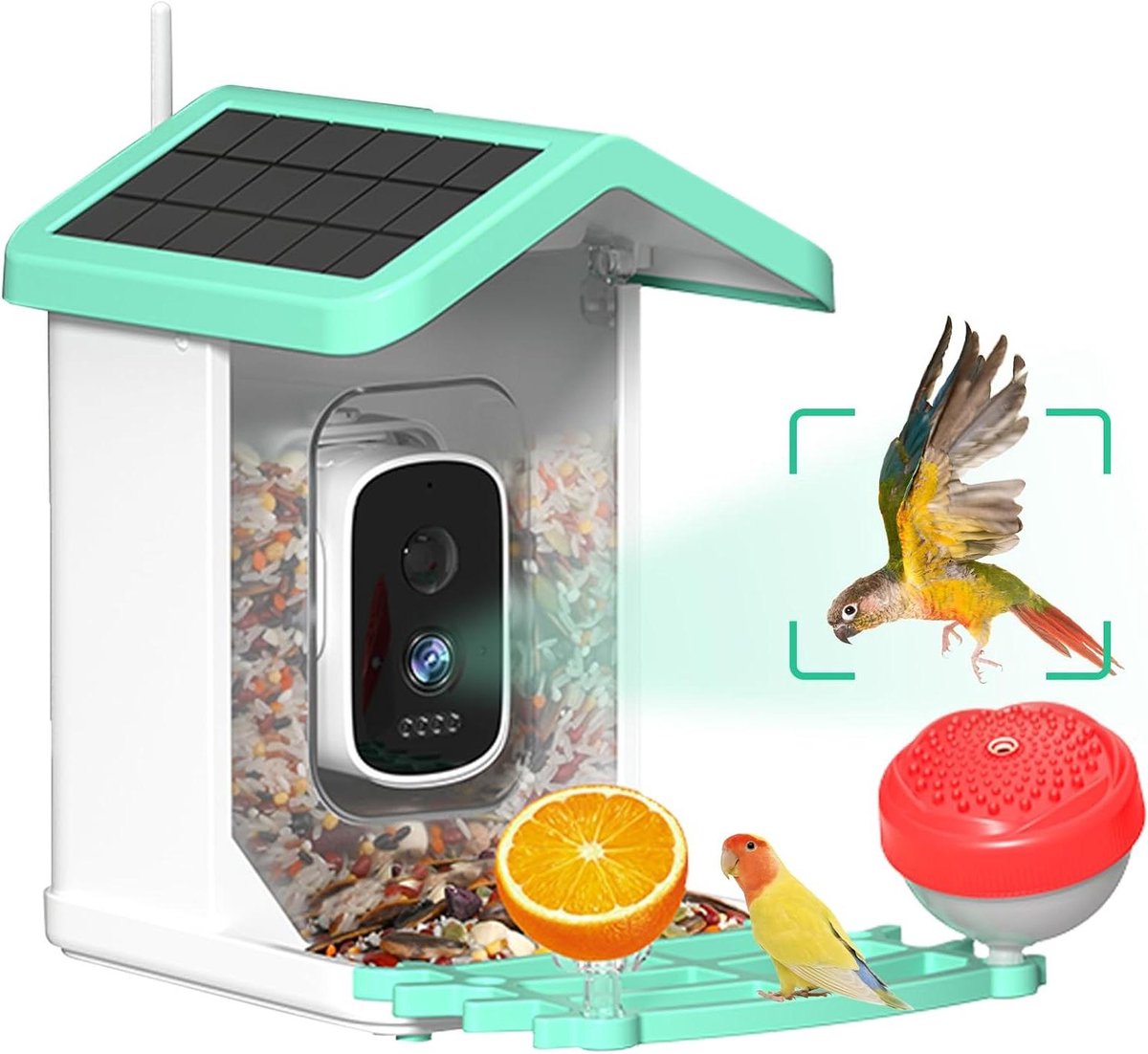 Vogelvoeder met camera - Slimme vogelcamera - Vogels observeren - AI vogelherkenning - 15 Liter - Groen