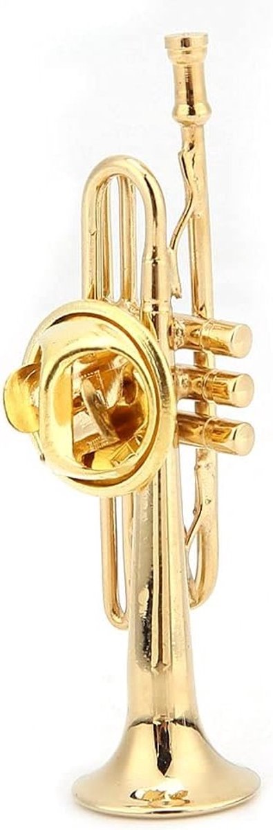 Exquise Trompet Broche voor Dames in Goudkleur, Perfect als Cadeau met Bescherming Doos, Muziekaccessoire en Modeitem