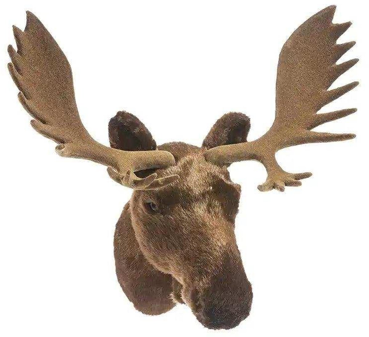 House of Nature Eland hoofd 34cm