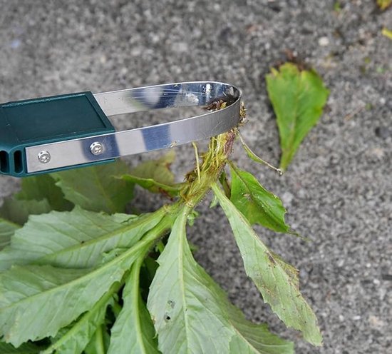 Onkruidstekers - Onkruid - Onkruidverwijderaar - Onkruidtrekker - Tuingereedschap - Cadeau Voor De Tuinier - Roestvrij Staal - Onkruidsnijder - Geschikt Voor Tuin- En Erfwerkzaamheden - Donkergroen - 30.5 X 5.5 X 2cm — afbeelding 5