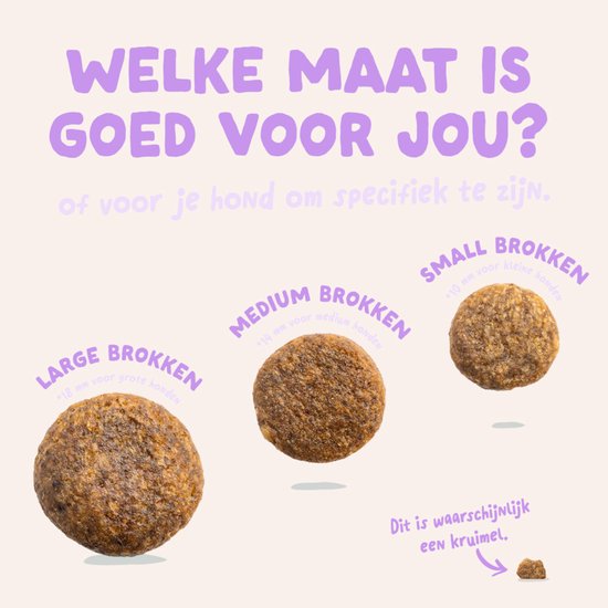 Drie verschillende maten hondenbrokken: large, medium en small. Tekst: "WELKE MAAT IS GOED VOOR JOU?".