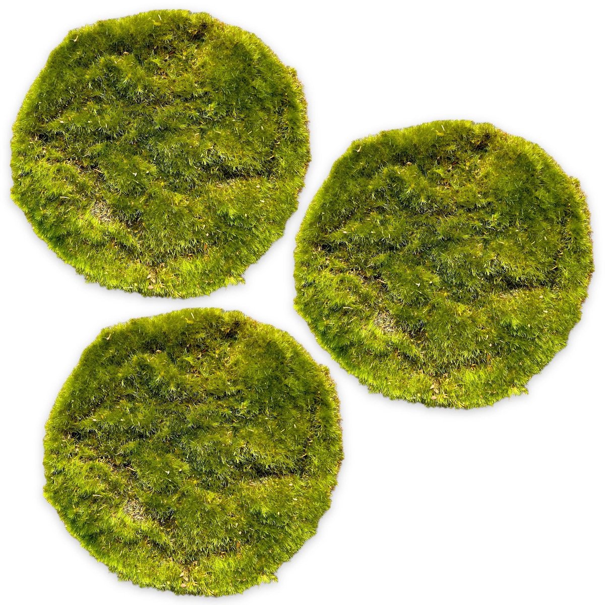 Dailygoods - Kunstgrasplaat - Siergras - Premium kwaliteit - Ø 20 cm - Mosplaat - Decoratie voor binnen en buiten - 6 stuks