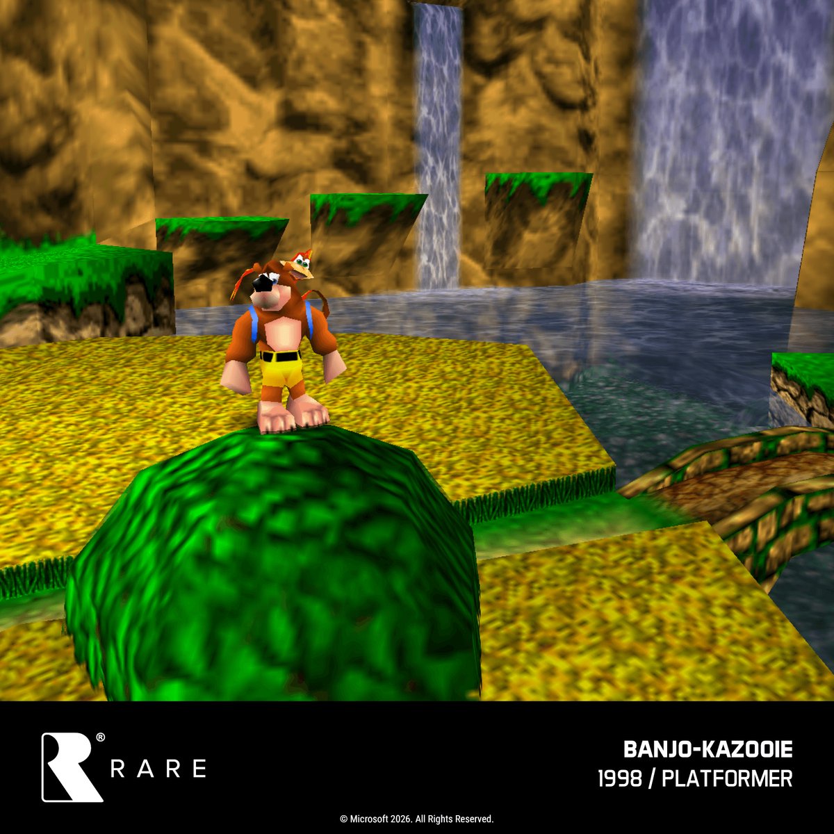 EVERCADE Nexus + Banjo-Kazooie Double Pack - Zwart — cadeau in Games, Films & Muziek - foto 6