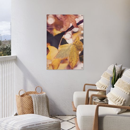 Affiche de jardin - Automne - Feuilles - Esdoorn - Oranje - 60x90 cm - Tableau de jardin - Décoration de jardin