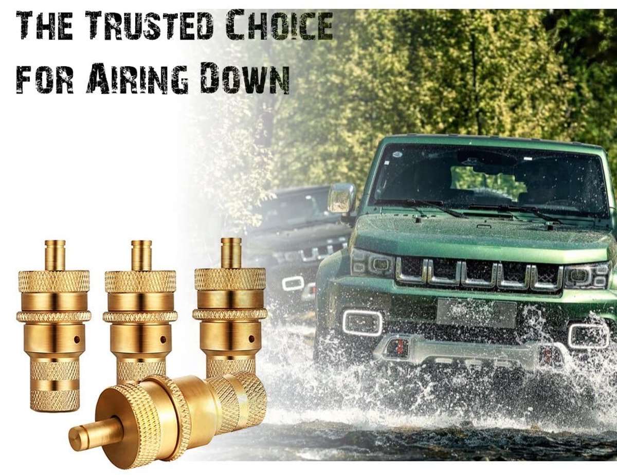 aladdien - Tyre Deflator Set - Universele Luchtontluchters - Geschikt voor Auto, Truck en Motor - 4 Stuks - Efficiënt en snel - Luchtontspanning