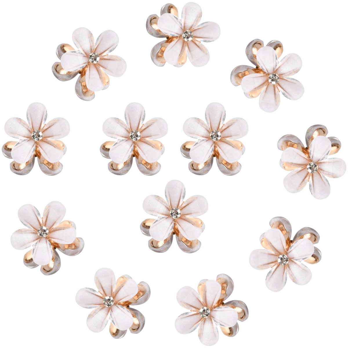 Dailygoods- Haarclips 12 Stuks - Mini Klauwclips - Bloem Motief - Antislip - Haaraccessoires - Duurzaam Materiaal - Haarklemmen