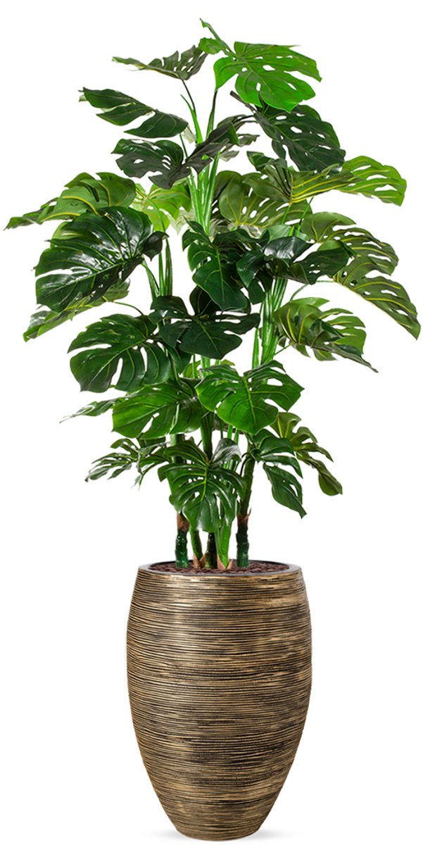 HTT Decorations Kunstplant Monstera XL in Vaas elegant Deluxe rib zwartgoud H180 cm