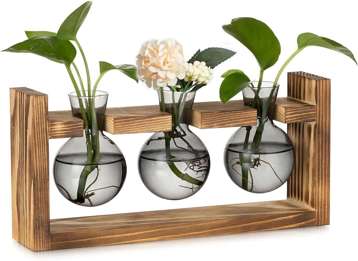 Glazen Propagatiestation voor Thuis: Kleine Bol Bloemenvase met Houten Frame voor Binnen, Ideaal voor Woonkamer, Keuken en Bureau Decor - Hydroponische Planten Terrarium en Bud Vazen