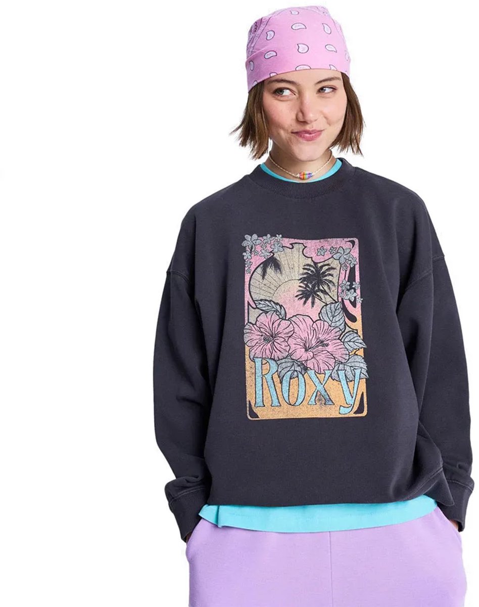 Roxy Lineup Terry Sweatshirt L Vrouw Antraciet