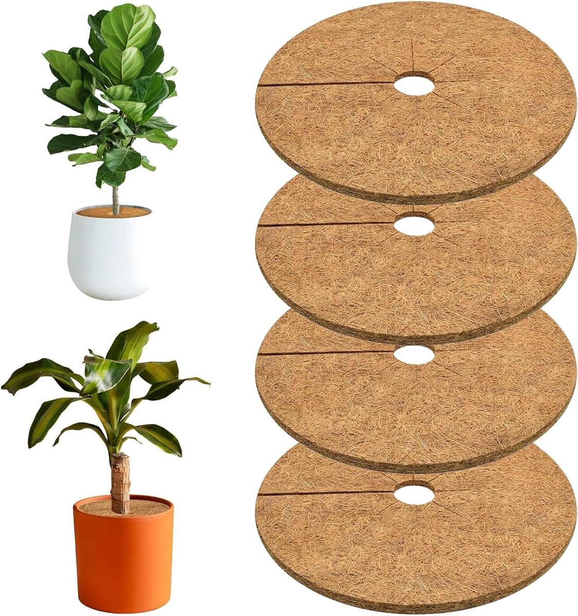 4 stuks Kokosvezel Schijven voor Planten - Winterbescherming, Vorstbescherming en Natuurlijke Plantmatten van 20 cm