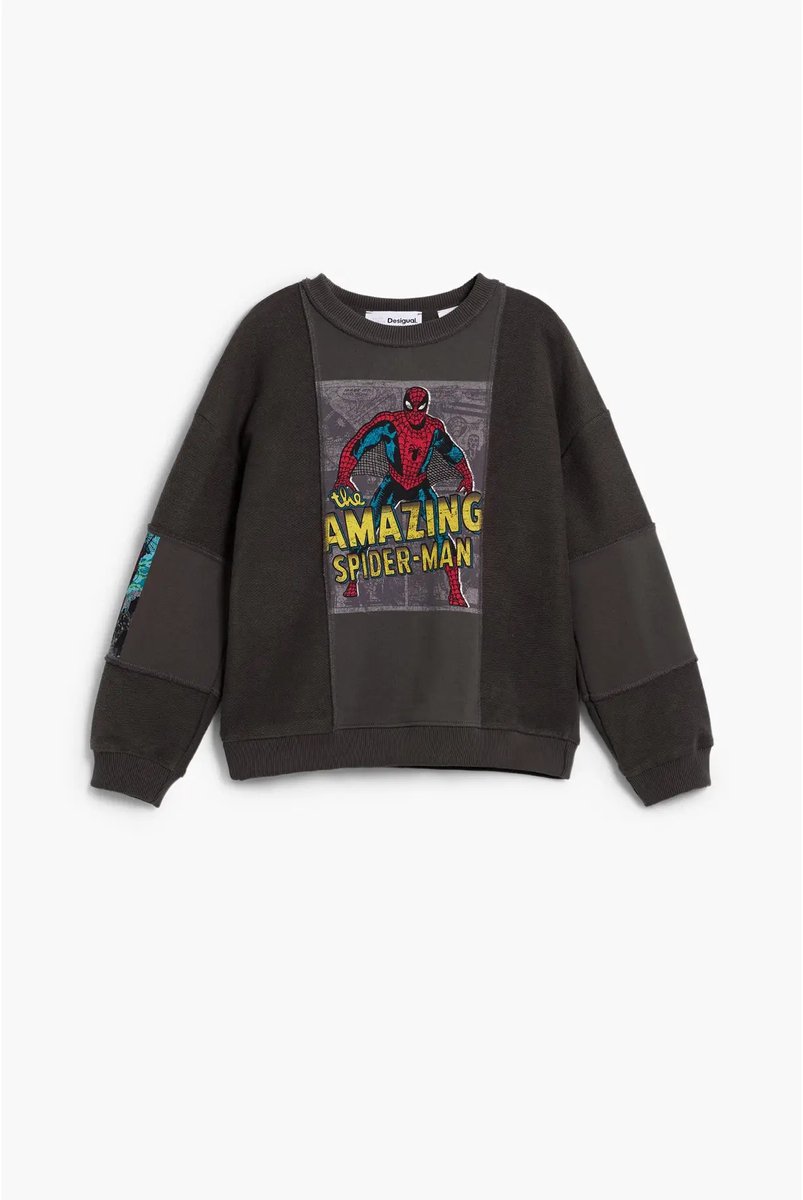 Junior Sweatshirt Desigual Marvel Spider