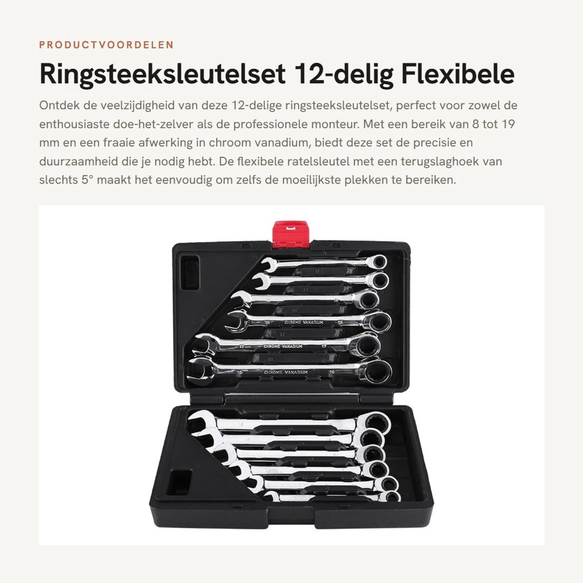 Dailygoods- Ringsteeksleutelset 12-delig - 8-19 mm - Flexibele Ratelsleutel - Chrome-Vanadium - Inclusief Opbergtas - Schokbestendig - Steeksleutelset