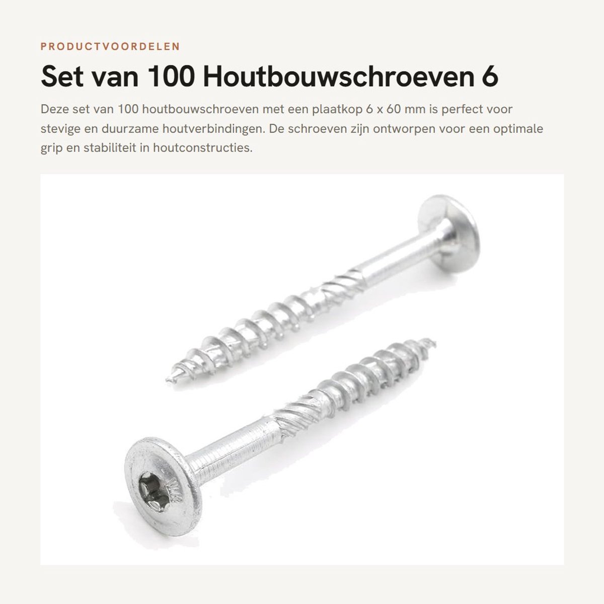 Dailygoods - Set van 100 Houtbouwschroeven 6 x 60 mm