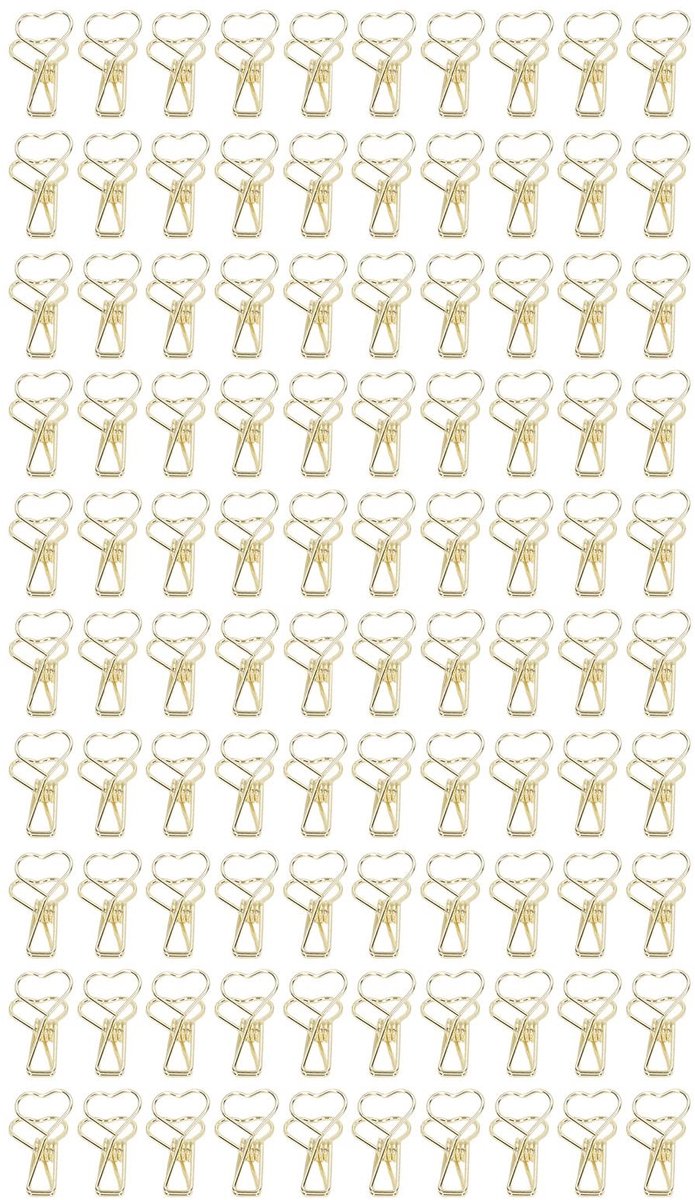 Dailygoods- Binder Clips 100 Stuks - Metalen Bindclips - Schattige Mini Binderclips - Duurzaam Ontwerp - Geschikt voor Documenten - Handige Holle Clips - Binders