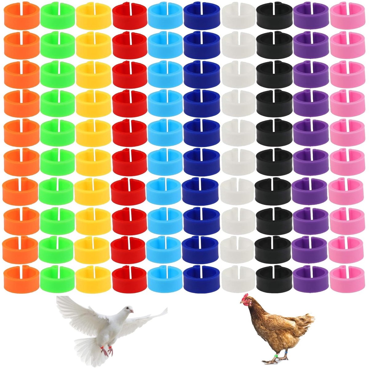 Dailygoods- Gelringen 10 mm - 100 Stuks - 10 Kleuren - Duiven/Kuikens - Vleugelbeenringen - Hoogwaardige/Duurzame Kwaliteit - Pootringen