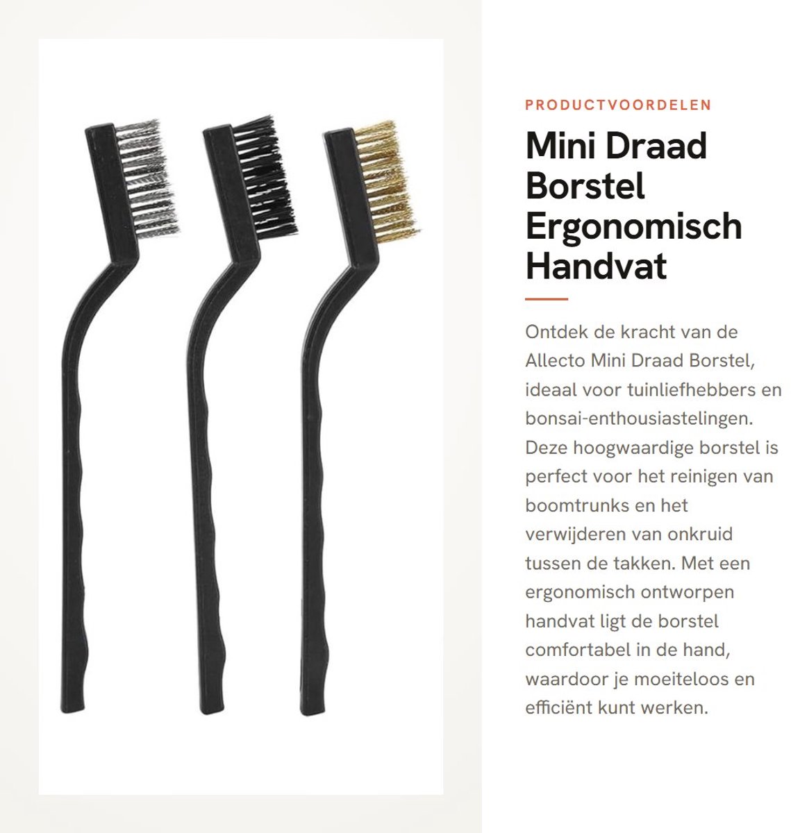 Dailygoods- Draadborstel Ergonomisch Ontwerp - Mini Draadborstel - Tuingereedschap - Reiniging Tool - Varkenshaar - Duurzaam Staal