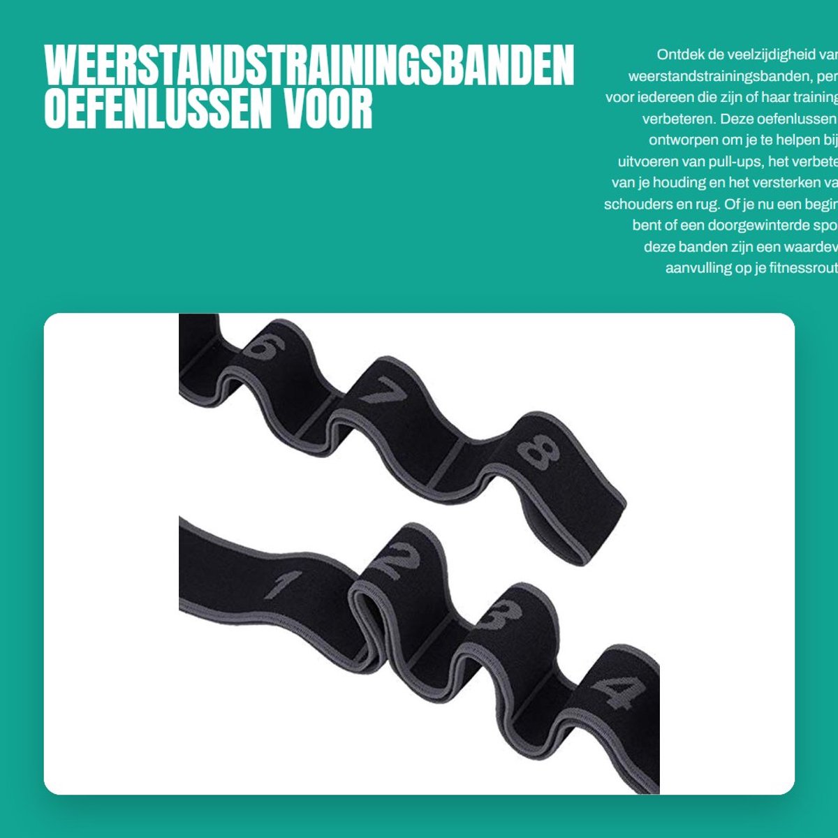 Dailygoods- Weerstandstrainingsbanden 8 Lussen - Pull Up Assist - Oefenlussen - Sportbanden - Flexibiliteit Verbeteren - Schoudercorrectie - Fitnessband