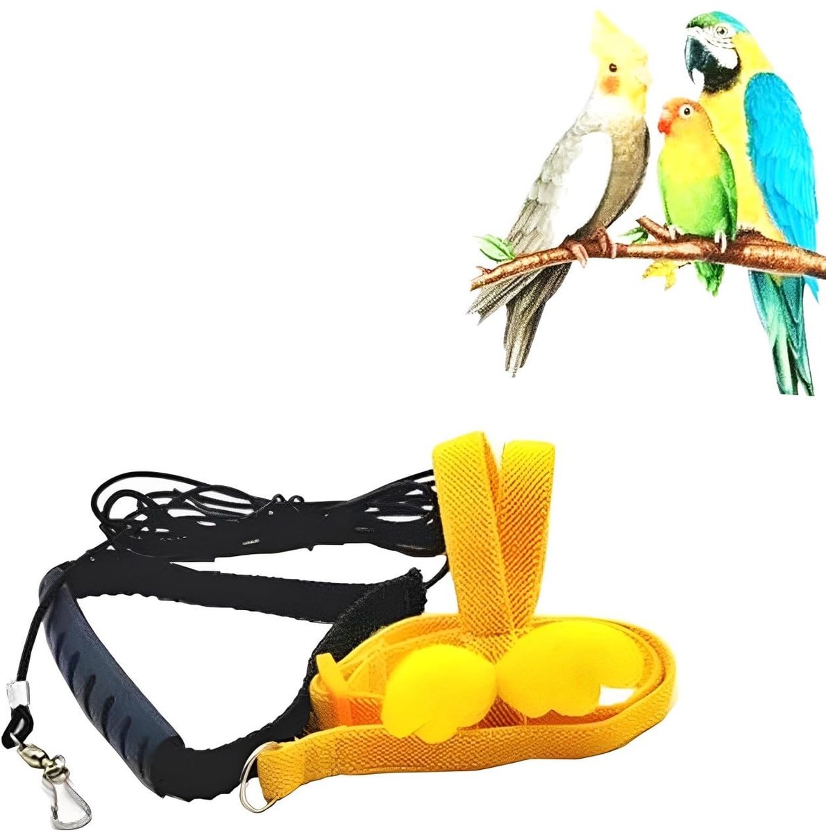 Dailygoods- Papegaaienharnas Verstelbaar - Vogel Harnas - Elastisch Trekkoord - Duurzaam Nylon - 2 Meter Touw - Geschikt voor Cacatoe en Loriini - Vogelharnas