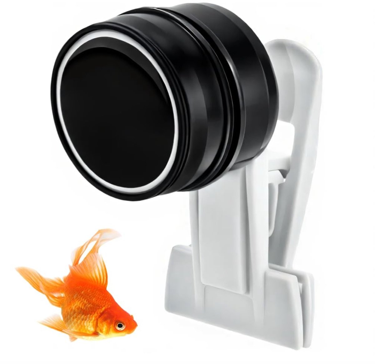 Dailygoods - Magnetische Voederbak voor Aquarium met Algen Dispenser