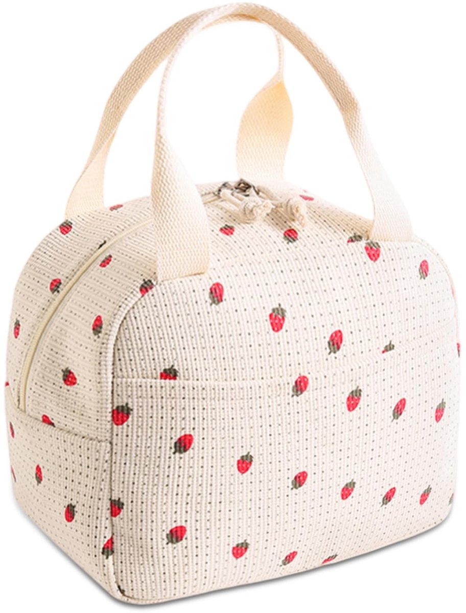 Dailygoods- Lunchtas Geïsoleerd - Draagbare Koeltas - Opvouwbaar - Voor Picknick/School - Kantoor/Reizen - Lichtgewicht - Lunchbox