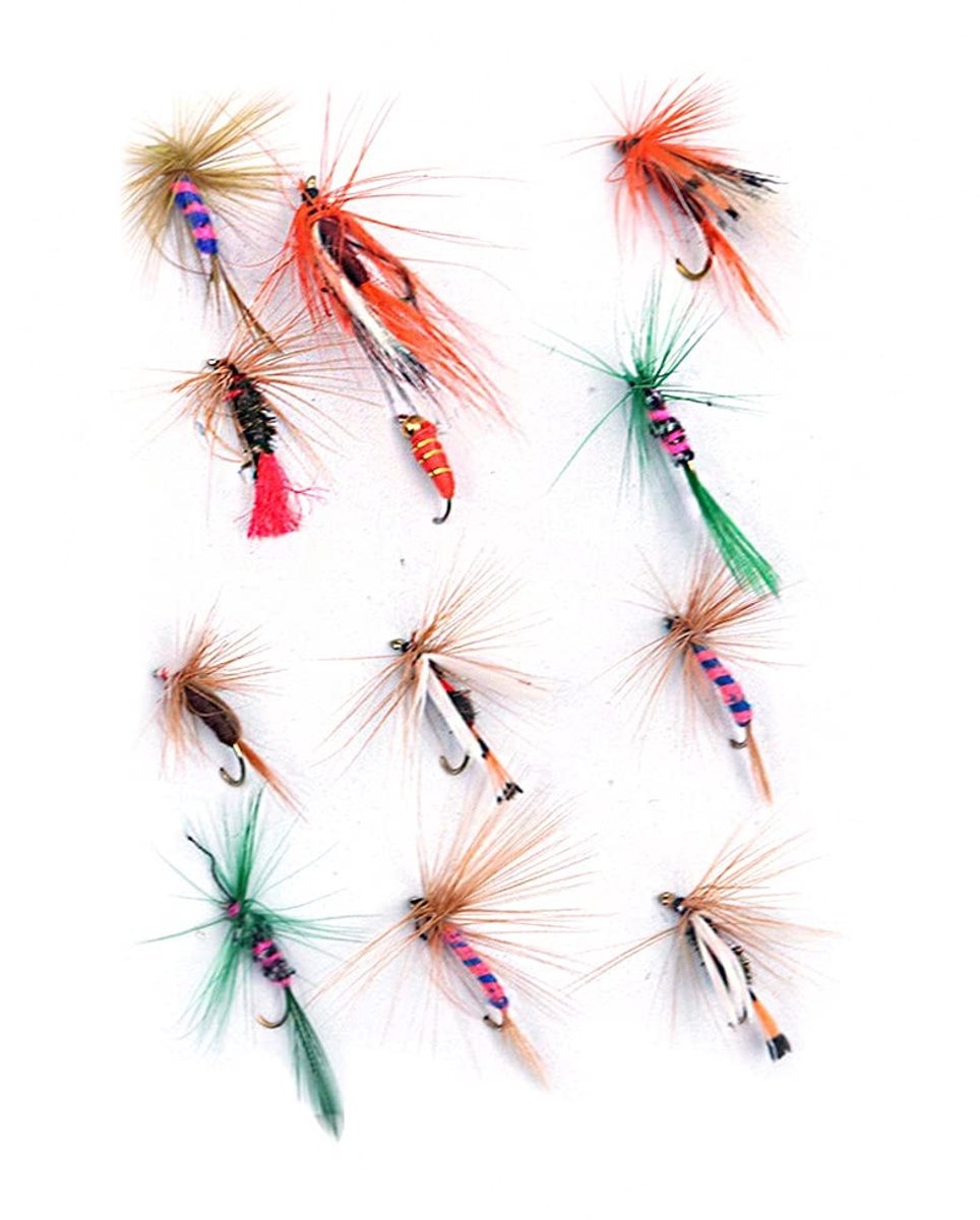 aladdien - Vliegvissen Kit - 12 stuks - Perfect voor forel en baars - Drijvende vliegen - Handgebonden kwaliteit - Ideaal voor iedere visser