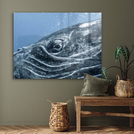 MuchoWow® Peinture sur verre 120x90 cm - Peinture sur verre acrylique - Water - Animaux - Baleine à bosse - Photo sur verre - Peintures