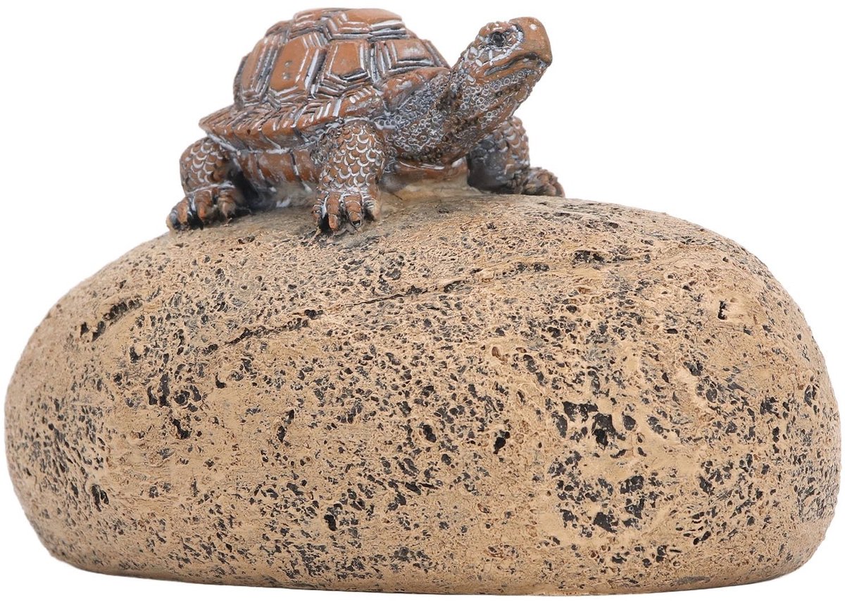aladdien - Fake Rock Key Hider - Sleutelhanger voor buiten - Decoratieve faux steen - Waterdicht en duurzaam - Veilig opbergen - Voor tuin en lobby