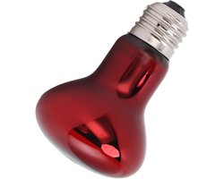 Reptielen Warmtelamp - Terrarium Verwarming - Dieren Welzijn - Dag Nacht Simulatie - 100 Watt - Transparant