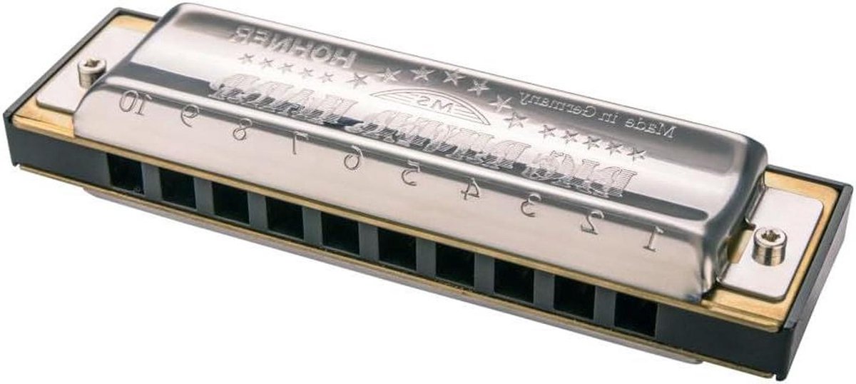 Mondharmonica - Bluesharp - Muziek Maken - Messing Stemplaten - 20 Stemtongen - Zilver