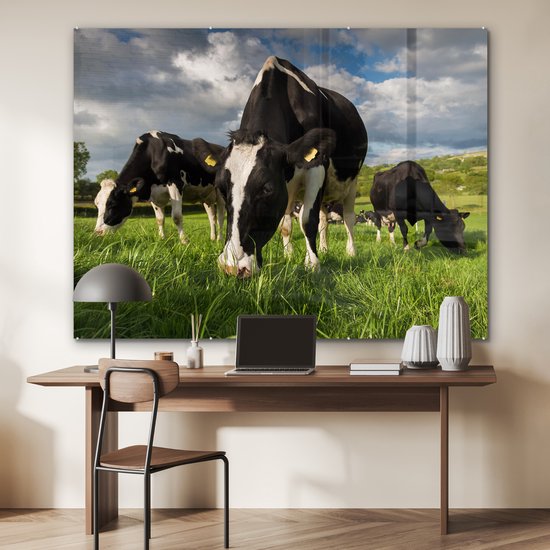 Vaches frisonnes regardant au soleil Plexiglas 160x120 cm - Tirage photo sur Glas (décoration murale plexiglas) XXL / Groot format!