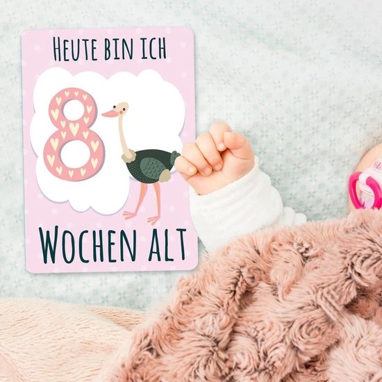 40 Luxe Baby Mijlpaal Kaarten Jongen Meisje - Fotokaarten Kraamcadeau en Babyshower — afbeelding 5