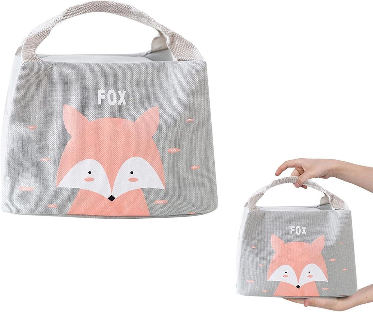 aladdien - Lunchtas - Geïsoleerde Koeltas - Lichtgewicht en Lekbestendig - Grijs - Ideaal voor Picknicks en School - Geschikt voor Kinderen en Stude..