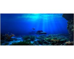 Waterproof PVC Poster Achtergrond Zelfklevend voor Aquarium Decoratie (122*46cm) - Duurzaam, Watervast en Makkelijk aan te Brengen
