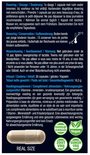 Een pot met 30 capsules Lucovitaal NR Anti Aging. De pot is donkerrood met een zilveren dop. De tekst "REAL SIZE" is onderaan de afbeelding.