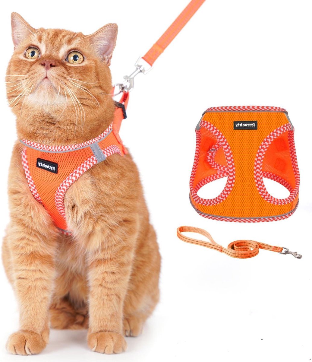 Kattenharnas en riem - Veilig tuigje - Buiten wandelen - Ontsnappingsbestendig ontwerp - XS - Oranje