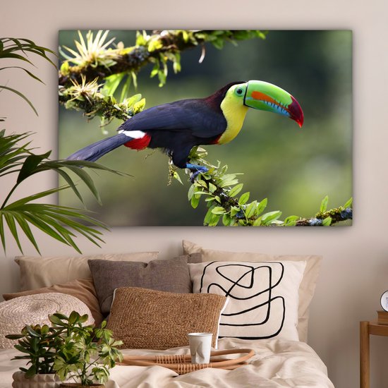 Tableau sur toile Un toucan sur une brindille fleurie - 150x100 cm - Décoration murale