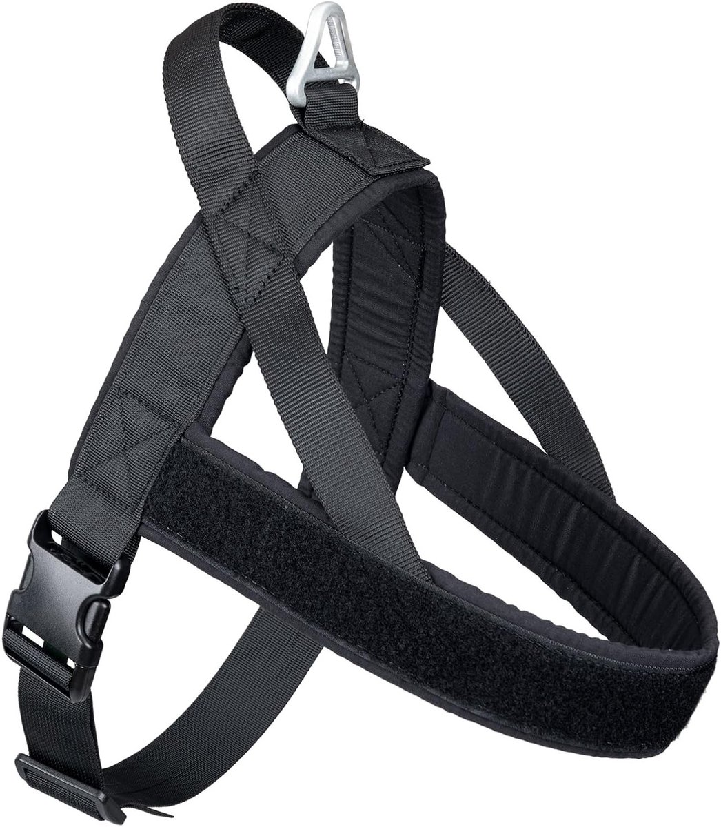 Verstelbaar en Gevoerd Hondentuig voor Kleine Honden - Ideaal voor Wandelen en Hardlopen, Zwart Nylon