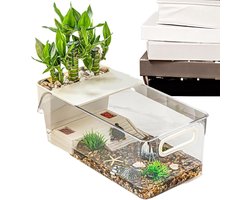 Schildpad Leefruimte - Reptielen Verblijf - Dieren Huisvesting - Meerlaags Ontwerp - 37x18.9x13 cm - Transparant