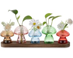 Mushroom Reproductie Station voor Thuis: Set van 5 Glazen Vazen met Houten Basis voor Planten Terrarium - Schattige Bloemenvazen voor Decoratie in de Woonkamer, Keuken en Kantoor