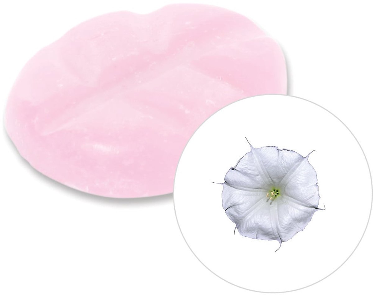 Scentchips® Maanbloem - Geurblokjes - Huisparfum - Geurchips - Waxmelts - Geschikt voor Ge