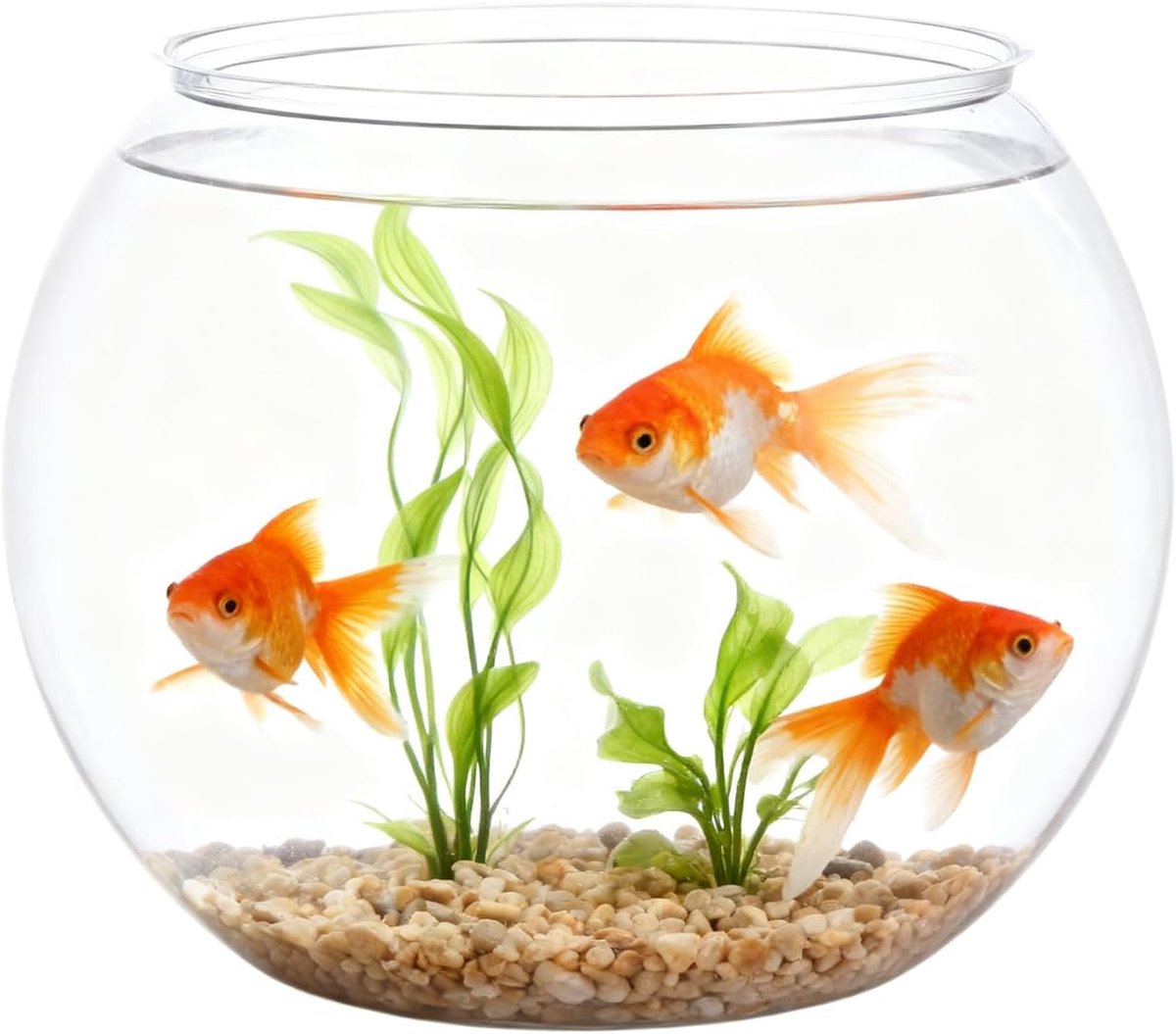 Vissenkom Vaas - Mini Aquarium - Decoratief Gebruik - Ruimtebesparend Ontwerp - 12.5 cm Diameter - Transparant