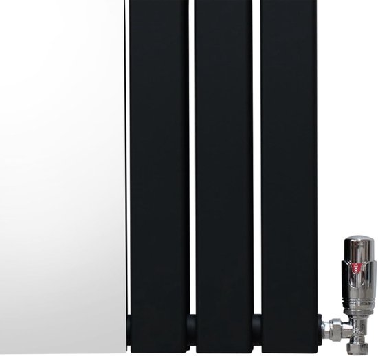 Dubbele Radiator Paneelradiator Met Spiegel - Design Radiator - Woonkamer Verwarming ...