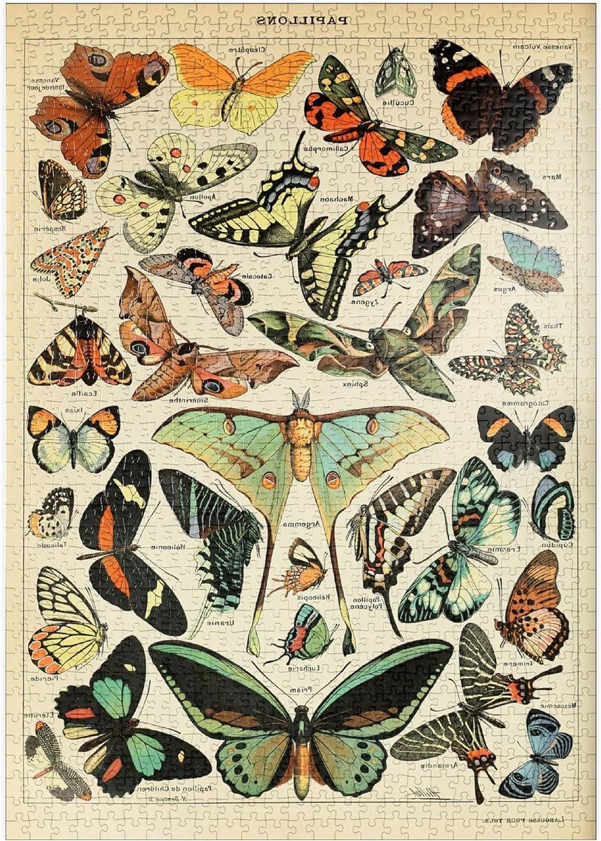 Legpuzzel Vlinders - Vintage Poster - Ontspanning Thuis - Premium Kwaliteit Karton - 1000 Stukjes - Meerdere Kleuren