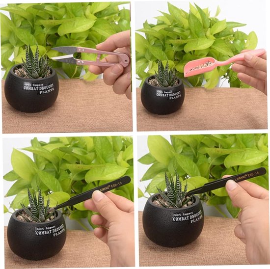 Mini Tuinieren Gereedschap - Verplant Tool Set - Planten Verzorgen - Voor Diverse Tuinbehoeften van Merkloos	 — afbeelding 4